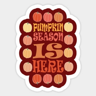 PUMPKIN SEASON IS HERE FALL AND THANKSGIVING DAY DESIGN Sticker